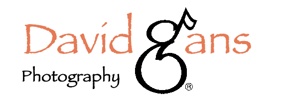 Photography