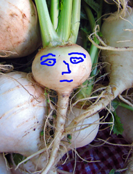 worried turnip